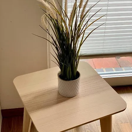 Apartment Thuele *